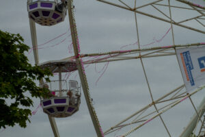 IMG_20240804_483